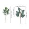 Mixed Eucalyptus Leaves Stems Bulk Artificial Eucalyptus Leaves Sprays Faux Oval Eucalyptus Leaves with White Seeds Stems for Floral Wreath Garland Bouquets Arrangement Wedding Greenery Decoration…